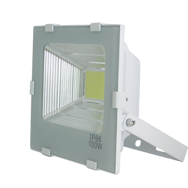 Top quality competitive price excellent heat dissipation 100W led flood light with 5 years warranty