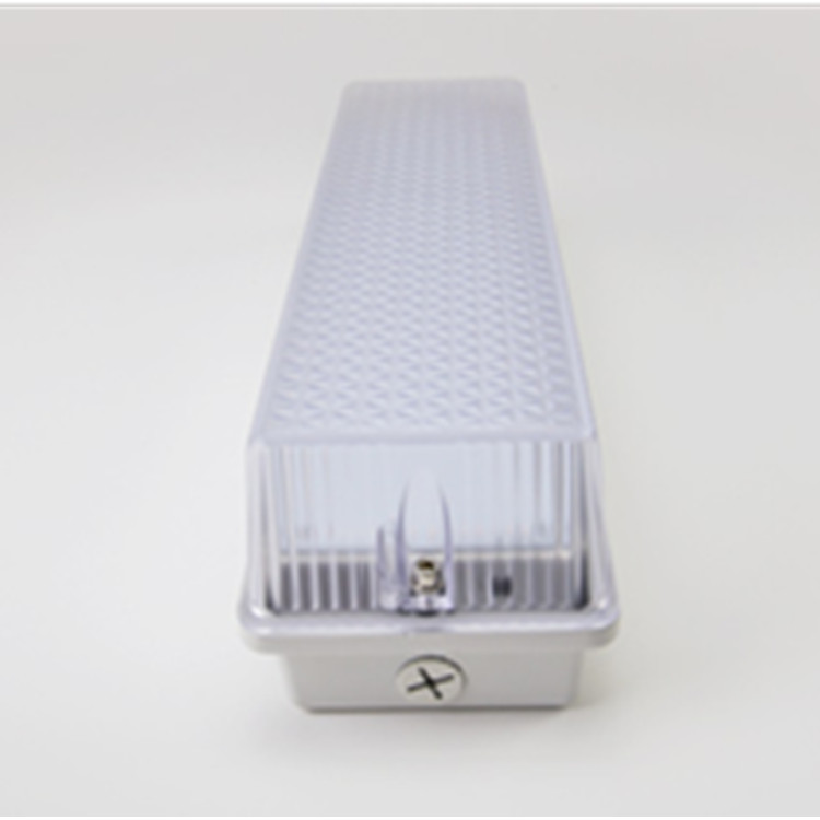 IK10 Resistant LED Luminaire 15W Exit LED Bulkhead Light Fitting with Rechargeable Battery