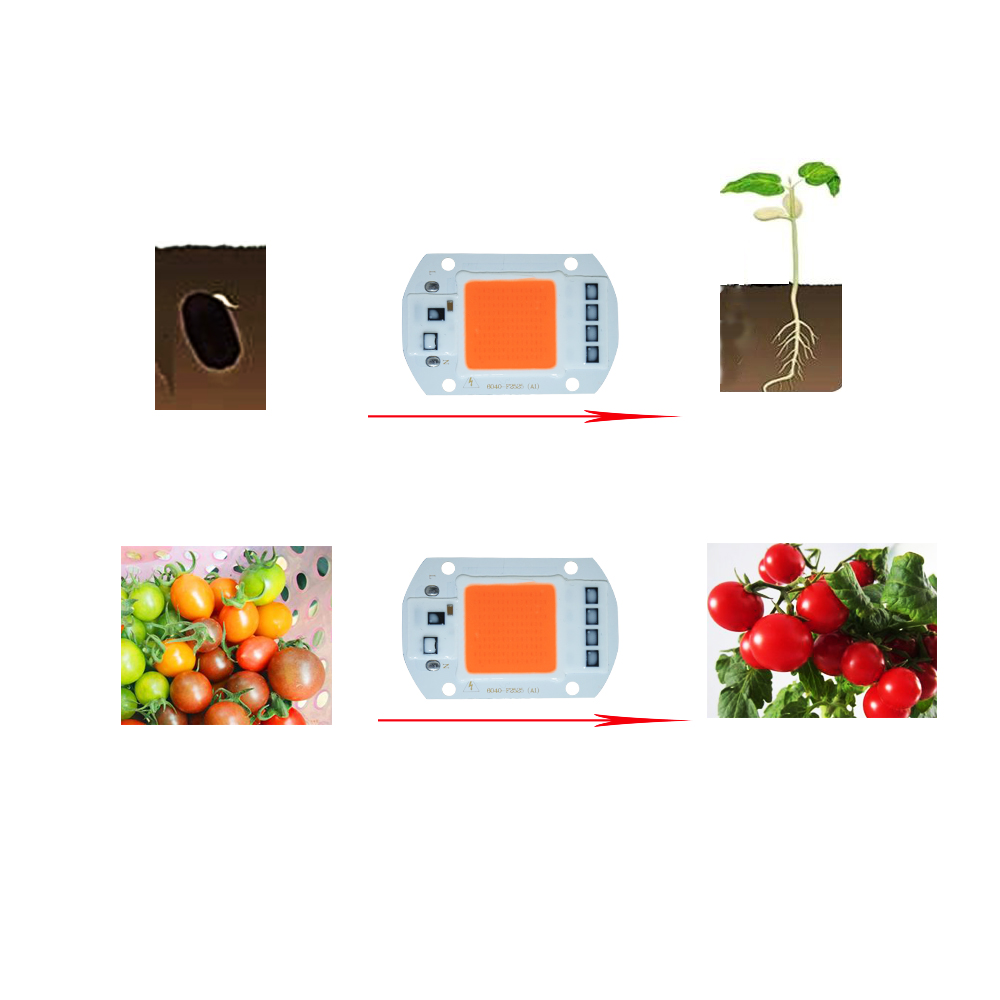AC220V 110V 20W 30W 50W Driverless COB LED Full Spectrum LED Light Grow Chip Smart IC Hydroponics DIY Grow Light For Plants
