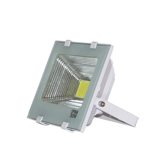 Warm white security led flood light 30w in aluminum material with motion sensor