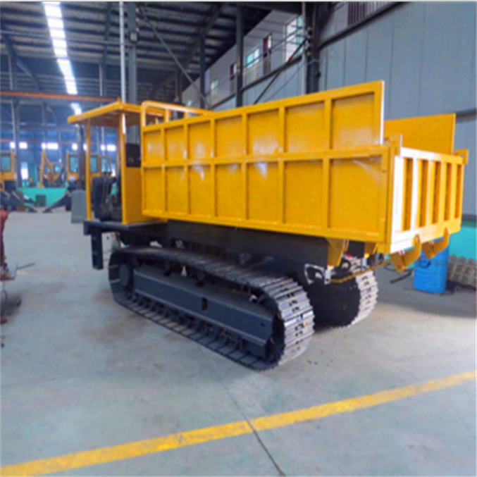 Cheap Price Mini Dumper 3 Ton Loading Weight Dumper For Sale