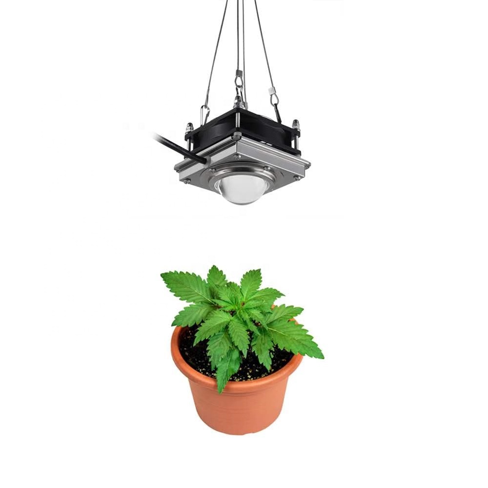 LED  plant grow amp light greenhouse clip plant l60W 4000K white full spectrum