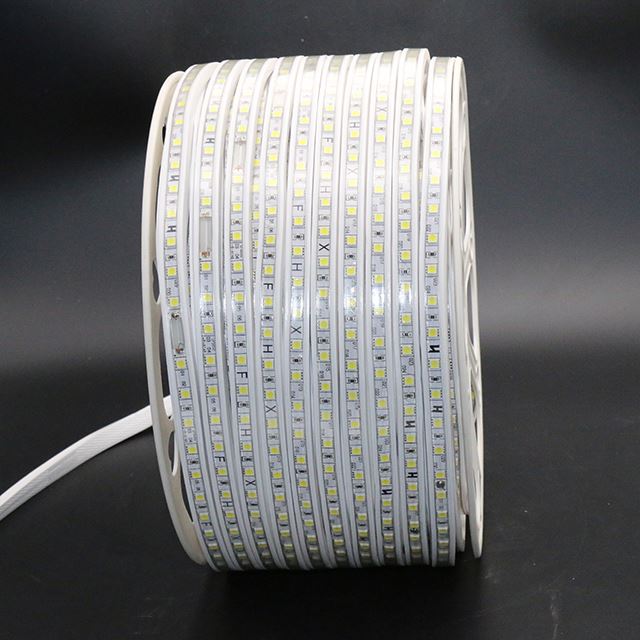 High Voltage Flexible IP65 Indoor Rope Lights 110V 220V AC Controller Led Strip 2835 SMD Light