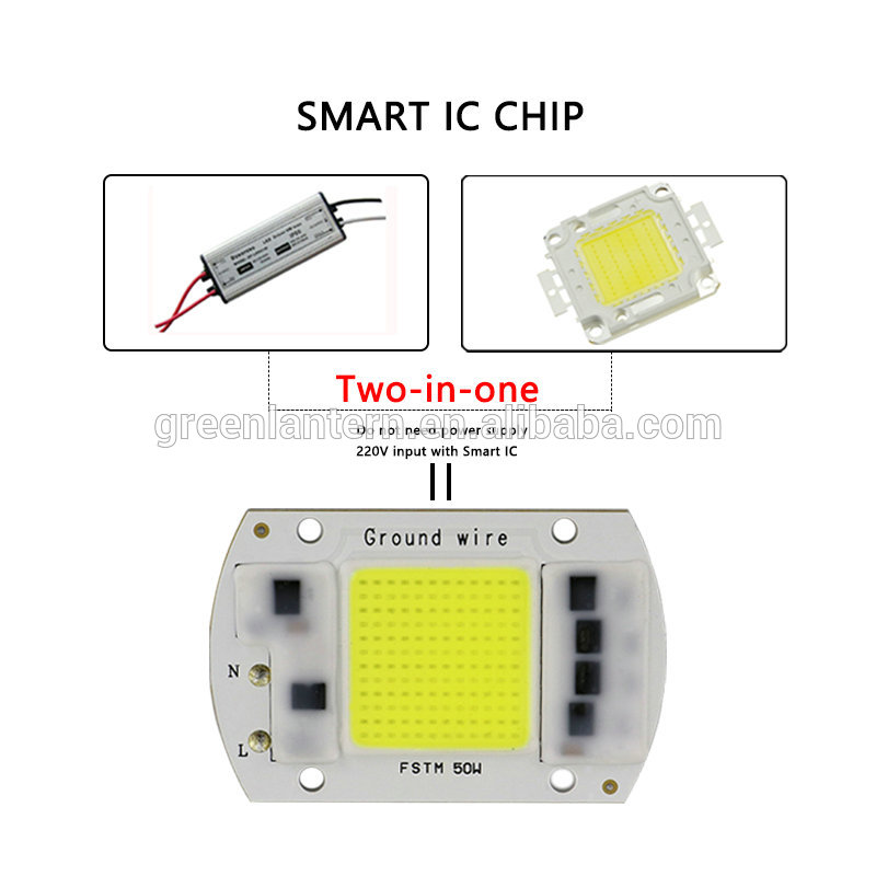 20watts 30watts 50watts LED COB Module AC module Driverless 110v 220v led chip