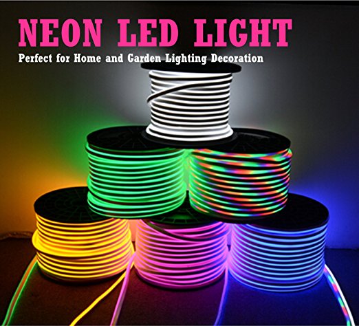 AC 110-220V Flexible RGB LED Neon Light Strip, 120 LEDs/M, Waterproof, Multi Color Changing 5050 SMD LED Rope Light