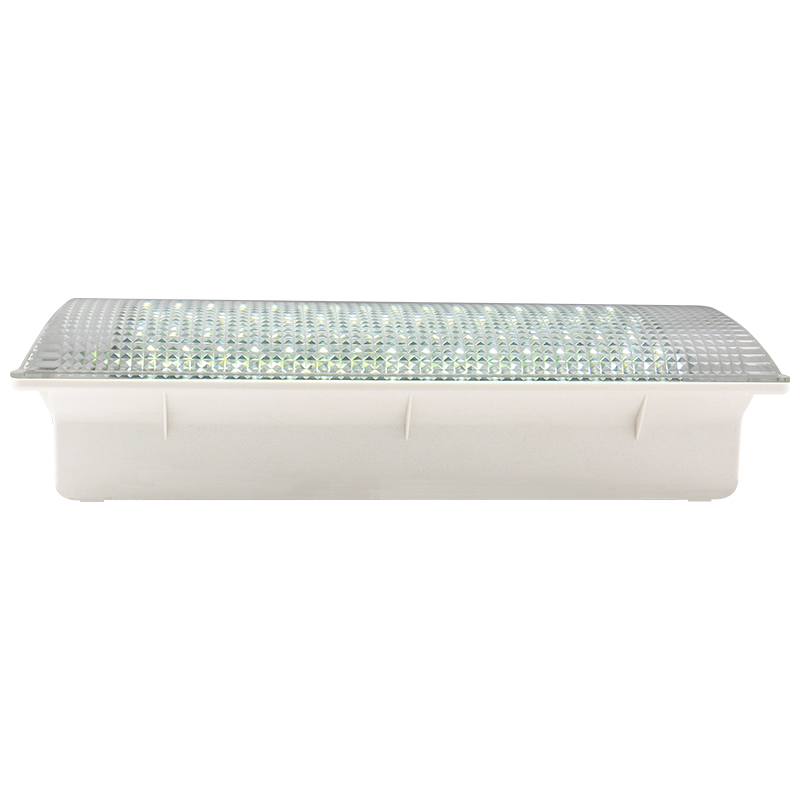 Rechargeable emergency fluorescent light