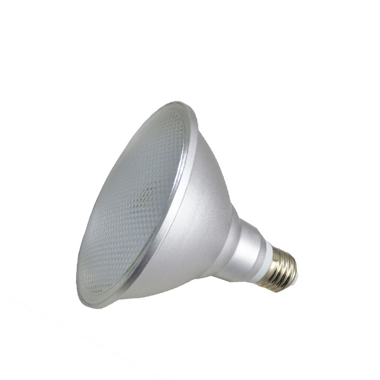 High Brightness Waterproof AC100-240V 12W Par30 LED Lamp for outdoor lighting garden