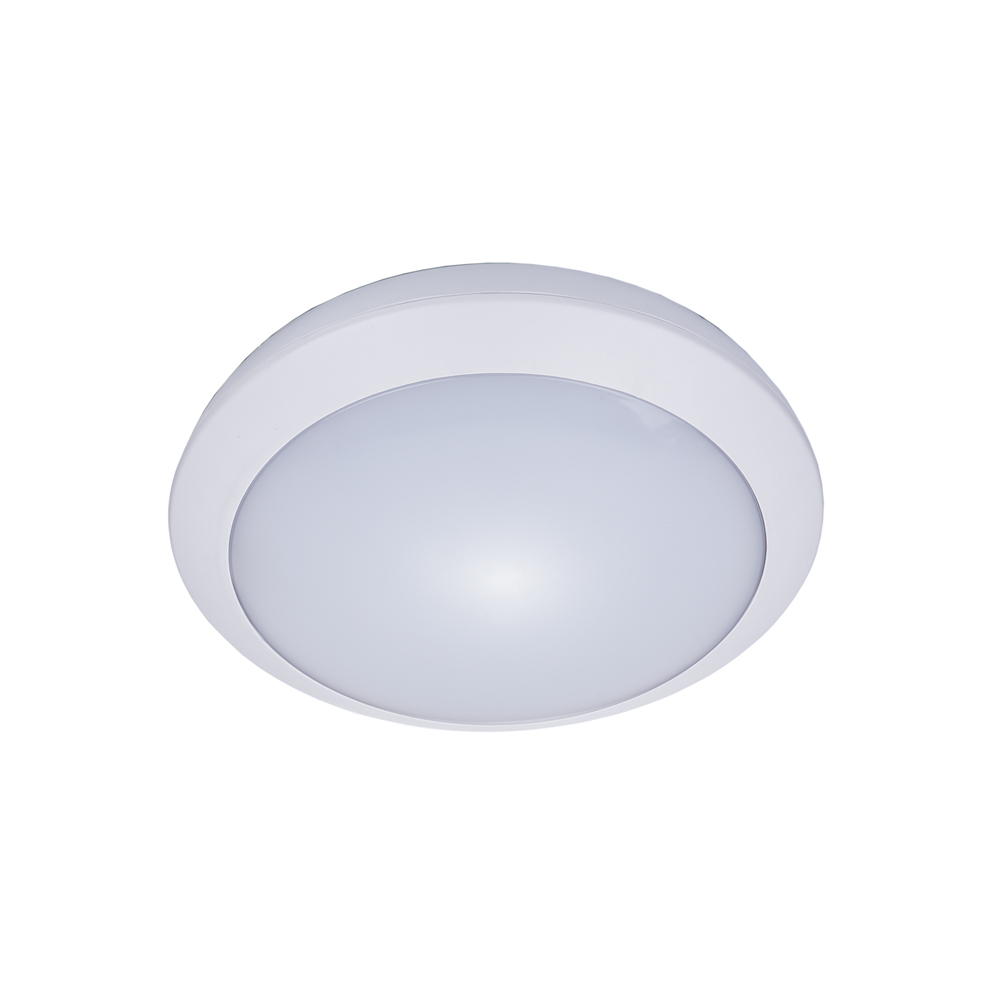 20w ip66 outdoor led ceiling light with ik08 protection (PS-CL17L)