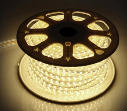 New Product Multiple Color Change Support 110v 220v 5050 smd Led Strip Lights with remote