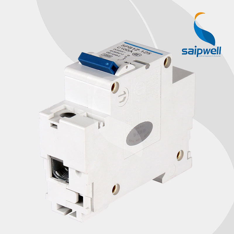 SAIP/SAIPWELL China Newest 1 Pole DC125/220V 100A IP65 Electrical Main Switch Circuit Breakers