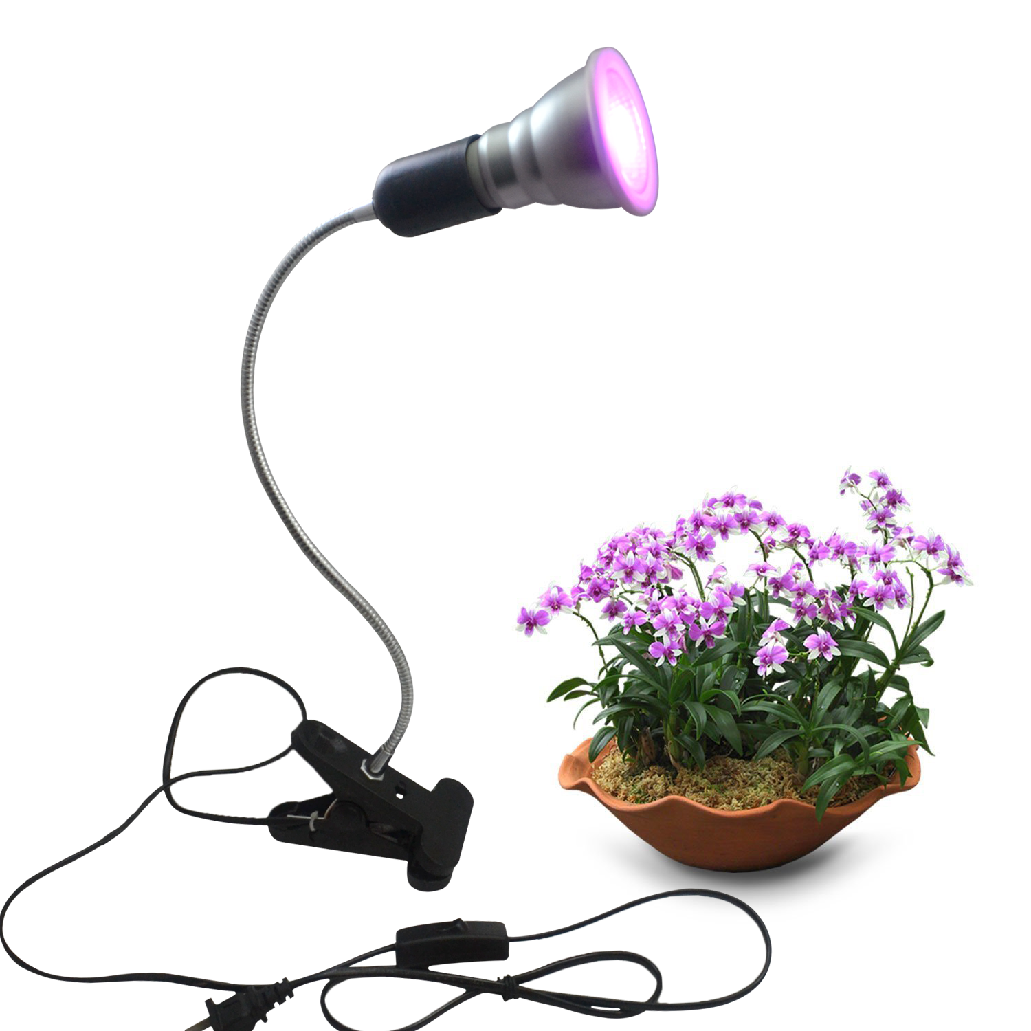 high quality red and blue plant table light led grow light desk plant light 7W 12W 24W warranty 2years indoor plant lighting