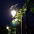 30w led solar street light