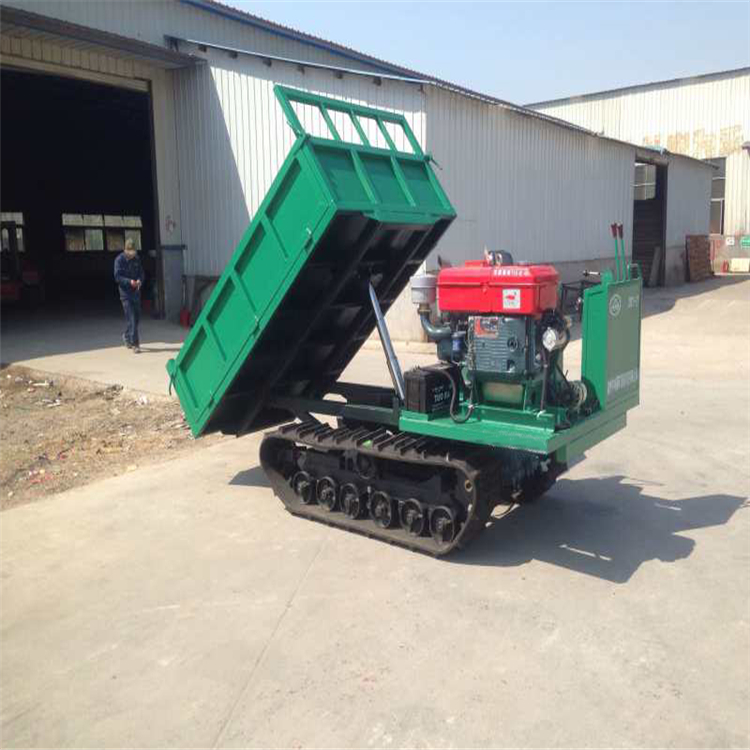 Efficient 4 Ton Crawler Dumper,4 Ton Crawler Dumper For Mining,Engineering Track Efficient 4 Ton Dumper