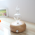 Wood and Glass Aromatherapy Diffuser Essential Oil Aroma Diffuser