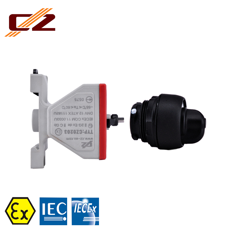 IECEX and ATEX Certified Industrial Explosion Proof  100, 500k Ohm Potentiometer Variable Resistor