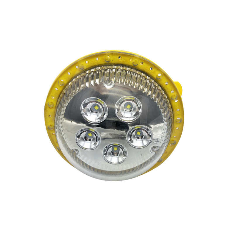 IP66 ATEX LED Explosion Proof Light 20W Explosion Proof Led Light