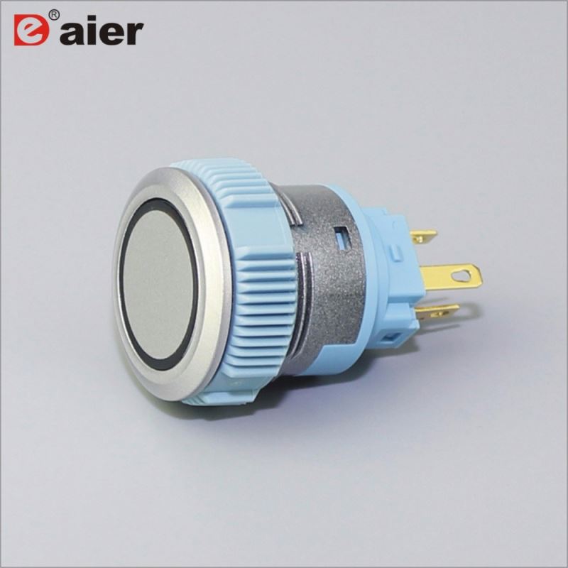 22mm Flat Button Ring Illuminated SPDT Momentary IP67 Silver Color Plastic Push Button Switch