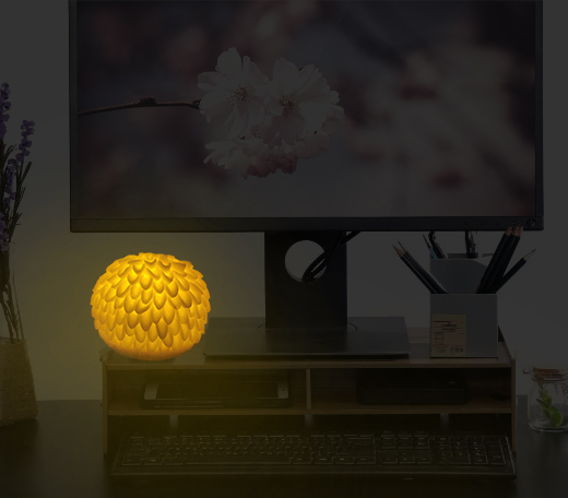 Dahlia decoration led night light for living room