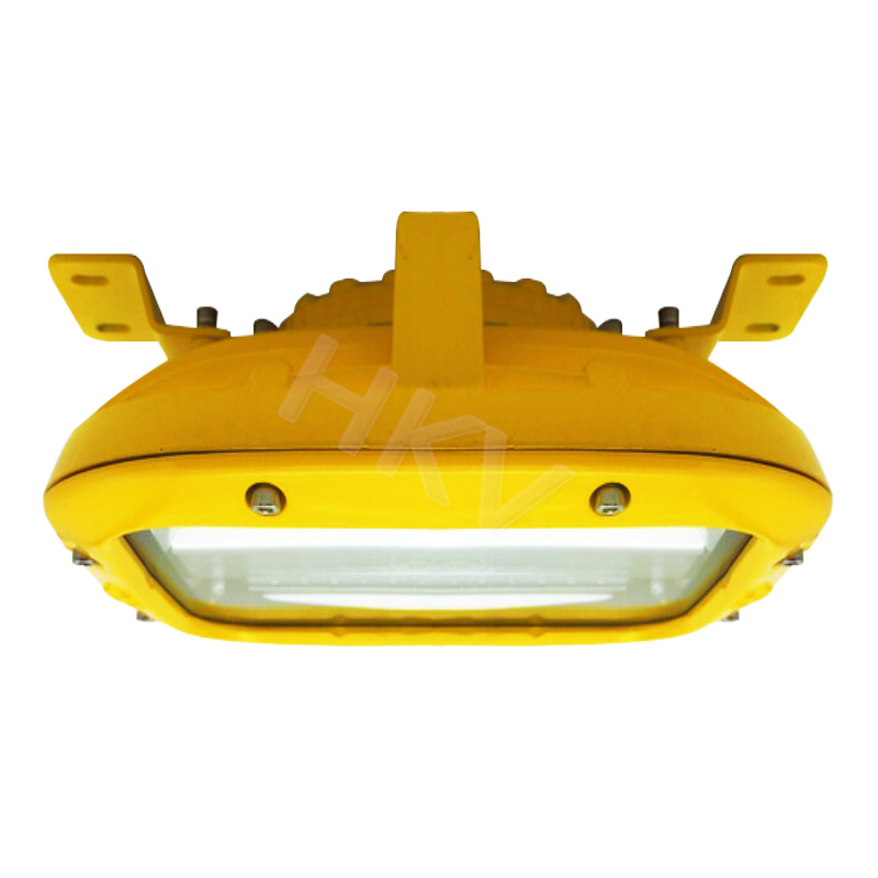 IP66 Led Light Industrial Area 50W Explosion Proof Light Explosion Proof Led Light Fixtures