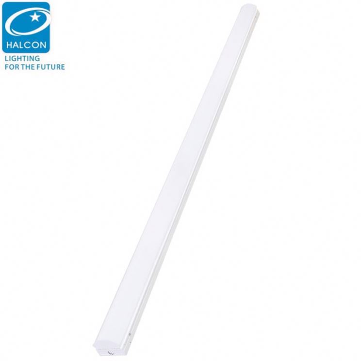 Ceiling Mounted Led Tube Batten Light 2835Smd Led Strip 5050 Garden Lights Fixture With Ul