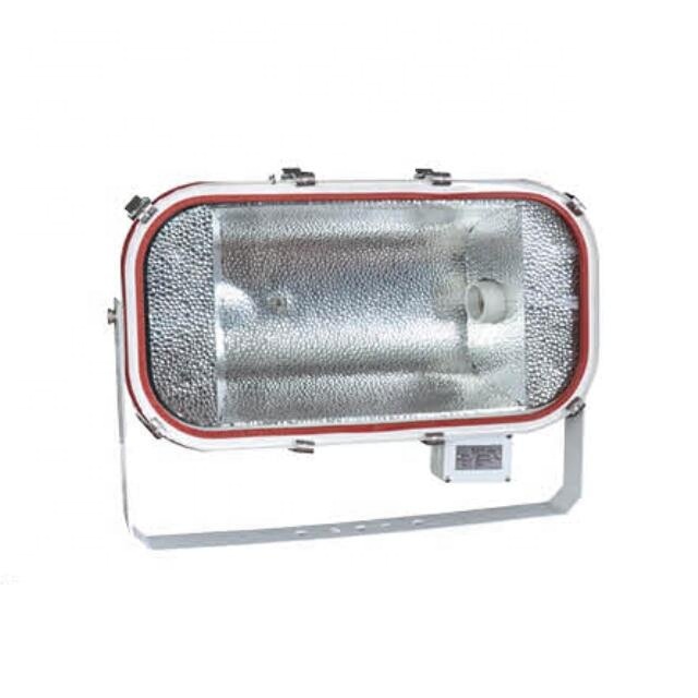 2*250W high pressure sodium lamp LED marine flood light TG19