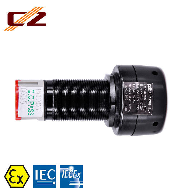 Professional Factory Competitive Price Explosion Proof Plastic Buzzer