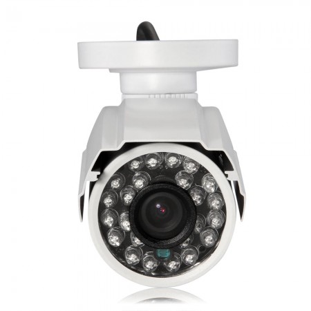 1/3 CCD 24 IR LED 700TVL Outdoor/Indoor Weatherproof CCTV Camera