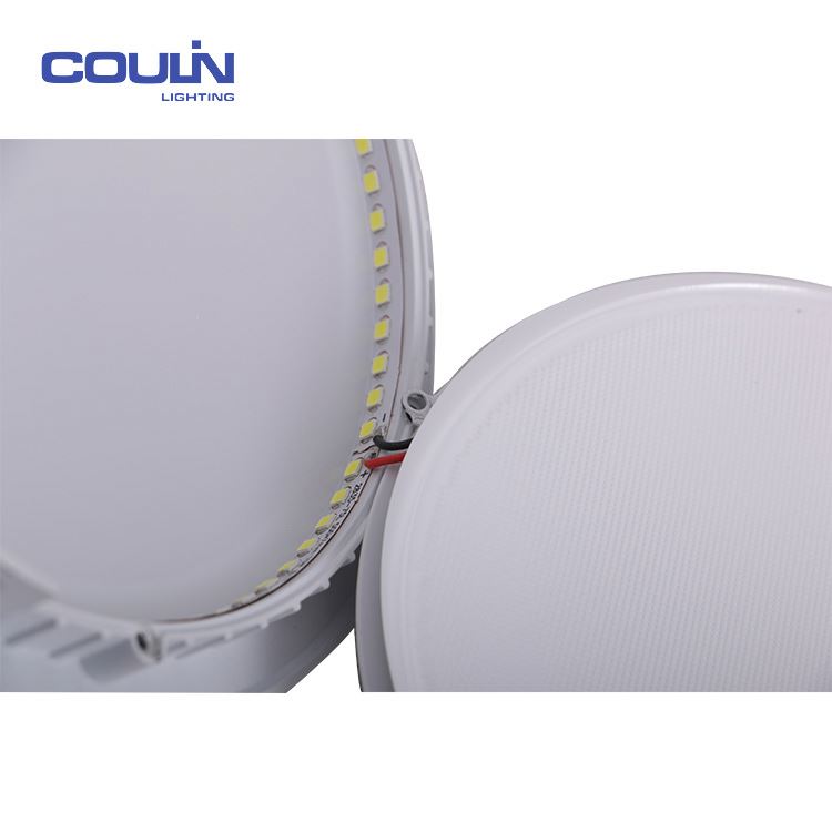 Professional Manufacturer Ultra-Thin 13Mm Surface Mounted Led Ceiling Light