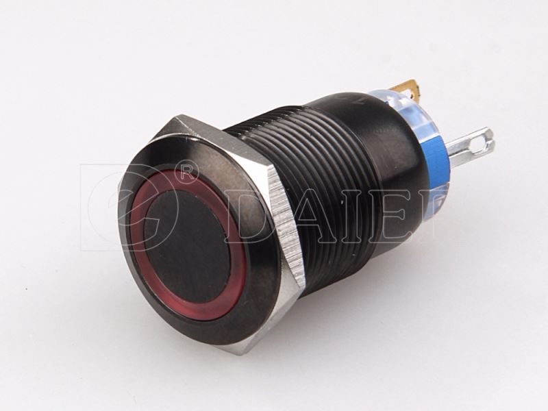 19mm 110v Lighted Illuminated Waterproof Pushbutton Switch