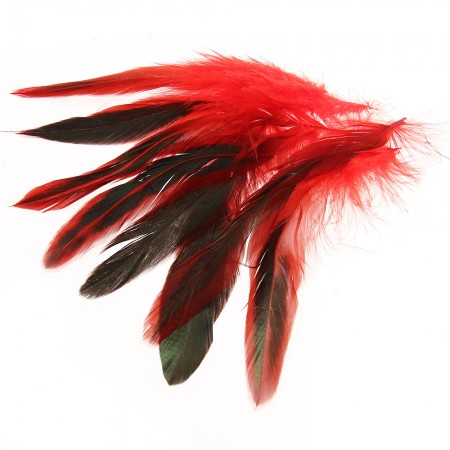 50 PCS Rooster Cock Feather Decoration for Hat Costume Craft DIY