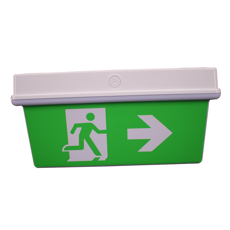 Shenzhen Manufacturer 54 LEDS 5W IP65 Bulkhead Exit Sign and Emergency light