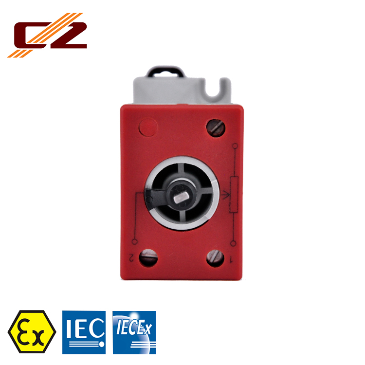 Industrial Explosion Proof Rail Mounting 50k, 100k Potentiometer