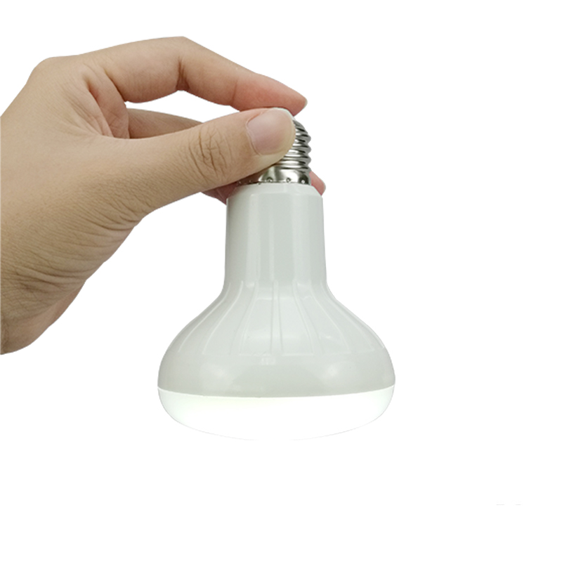 portable AC DC emergency bulb 7W 2000 mAh Battery in SKD form