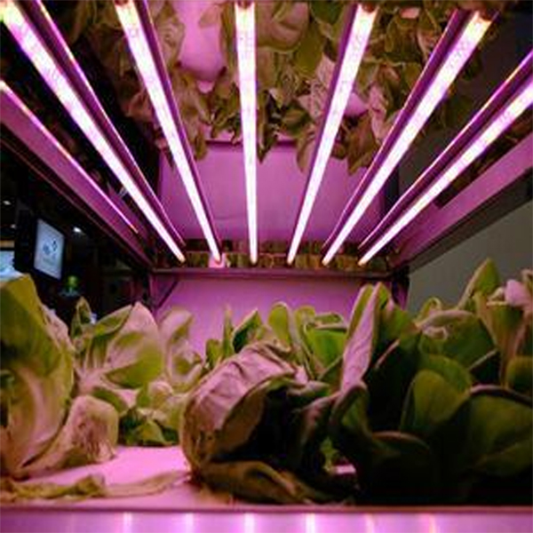 High quality Hydroponic 9w 14w 18w 22w led plant grow light ,grow light for fruit , cegetablem aluminum +PC LED Plant Grow Li