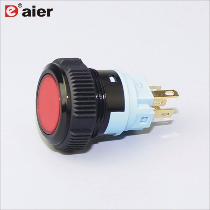 19mm Flat Button Lens Illuminated SPDT IP67 Black Color Plastic Push Button Switch