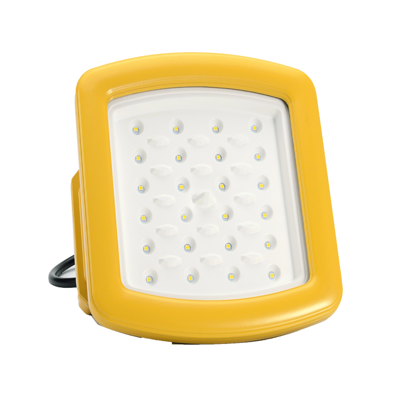 Now 2019 Powered Outdoor Lights 30W Hazardous Area Led Explosion Proof Lighting