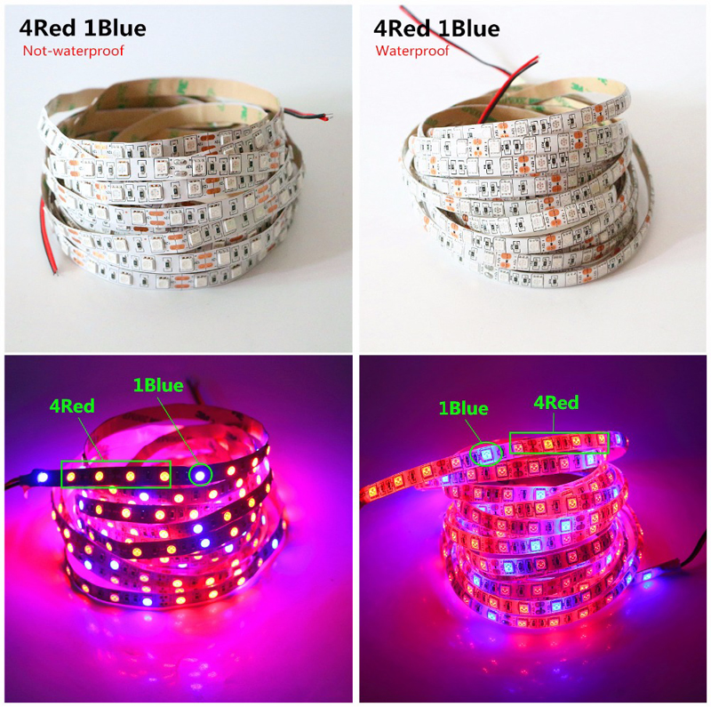 LED Grow Light Grow LED Strip Light 5050 DC12V DIY Growth Lamps For Greenhouse Hydroponic Plant Growin