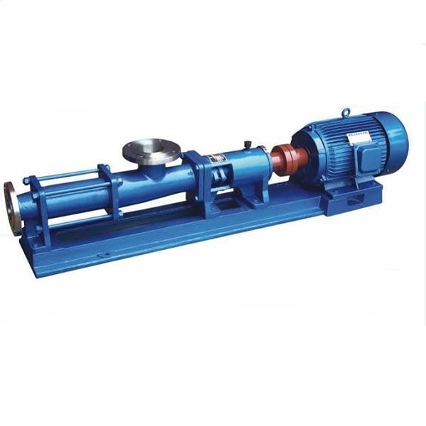 Mono screw progressive cavity pumps for liquid with solid particles fibers