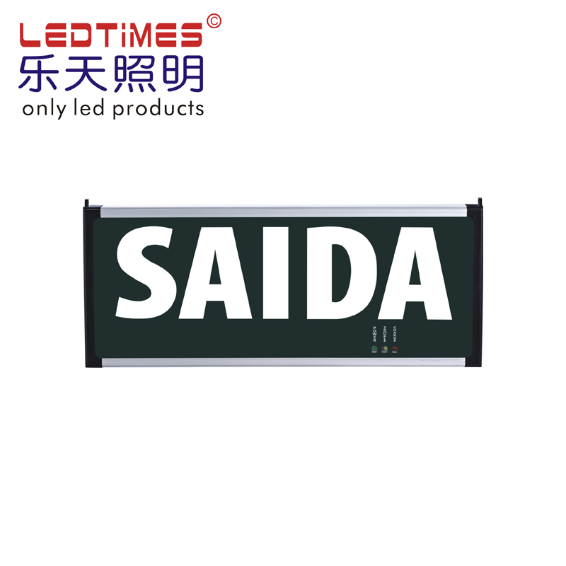 Russia Turkey Vietnam Romania Ukraine Selling Double sides Green Led hanging  Emergency Exit Sign