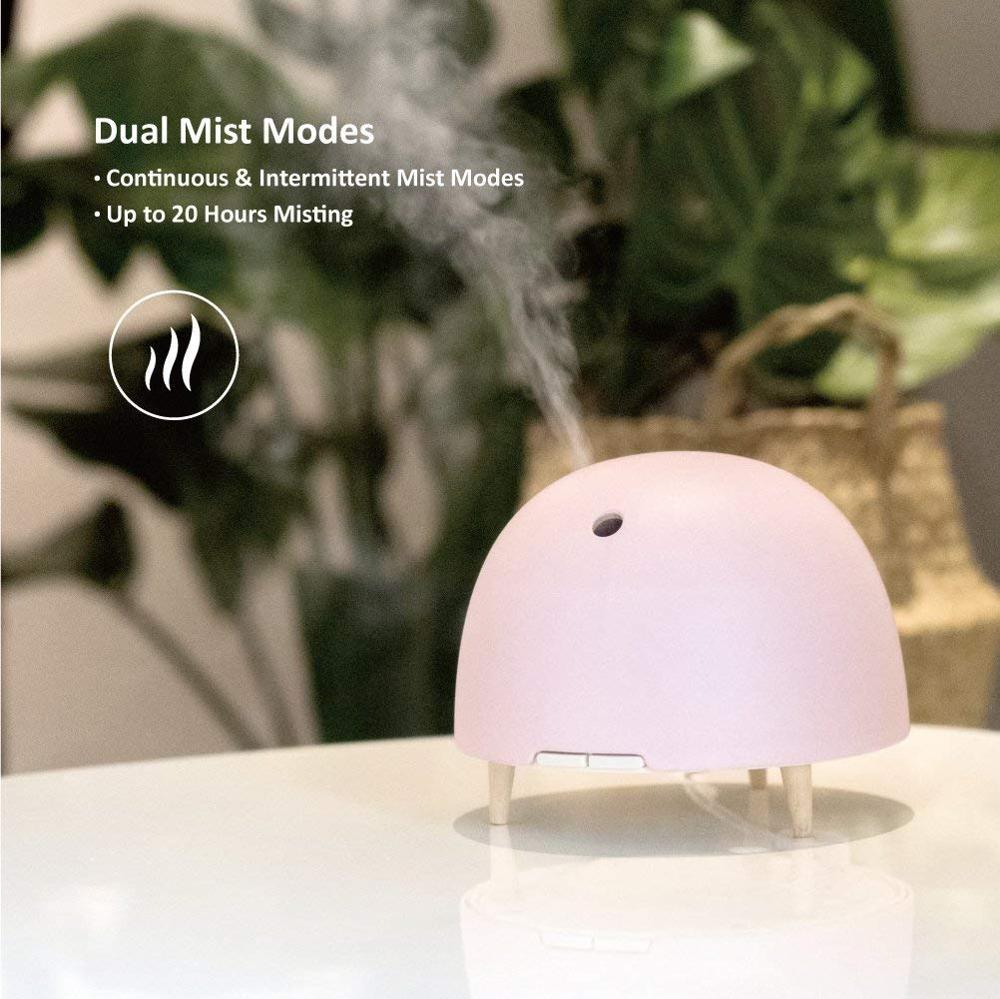 Car Cactus Ultrasonic Humidifier Classic Ultrasonic Personal Humidifier