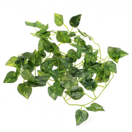 Fau Scindapsus Vine for Reptiles Lizard Chameleon Terrarium Habitat Decor Green