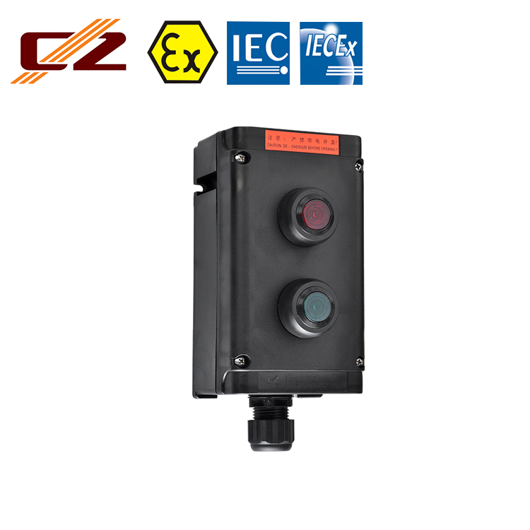 IECEX And ATEX Certified IP66 Explosion-proof Electrical Main Switch Box