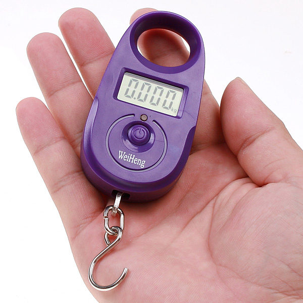 25kg*5g Mini Digital Scale Portable Hanging Luggage Scale Accurate Fishing Weighing Scale Pocket Weighing Balance LCD Display