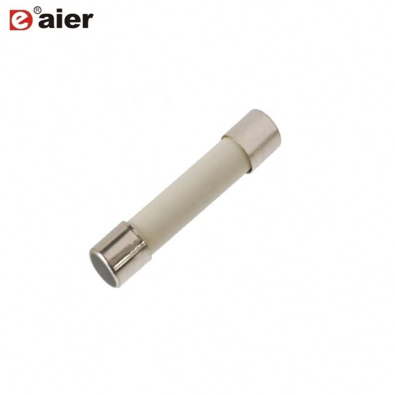 1A 250VAC Small Quick Acting Blow 6x30 Auto Ceramic Fuse