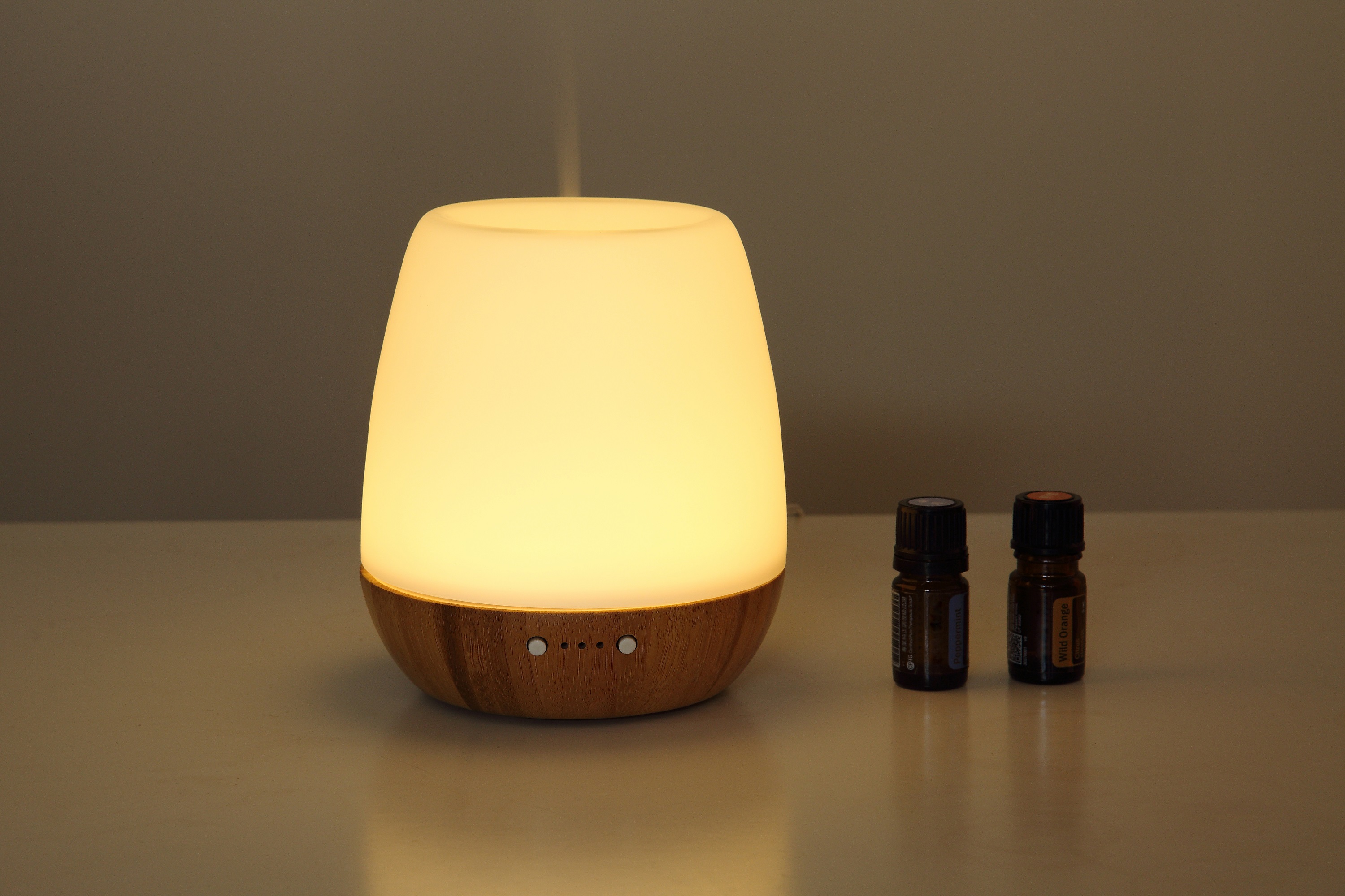 2019 New Product Hand-made blown Glass Bamboo  Aroma Essential Diffuser ,Home Cool Mist Diffuser Humidifier