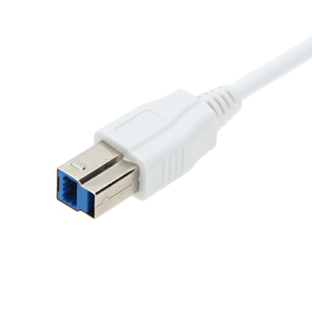 1m 10Gbps High Speed USB Cable USB 3.0 B to USB 3.1 Type C Interface Data Transmission Video Output Male Connector Cable