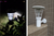 stainless steel wall mounted outdoor solar lamp