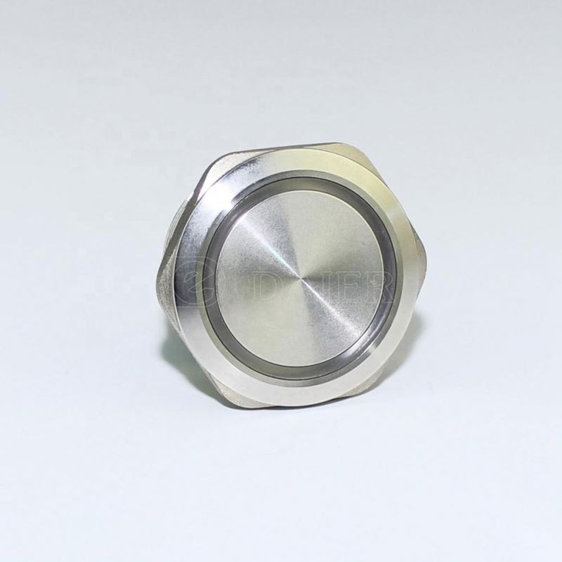 40mm Flat Button DPDT Ring Light 220V Waterproof Metal Large Push Button