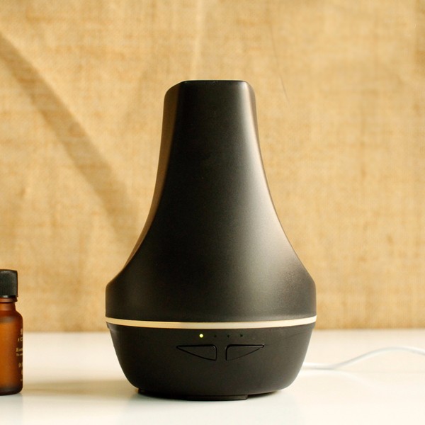 Negative Ion Water Replenishing Instrument Aroma diffuser with Mute Fragrance for Beauty Gift