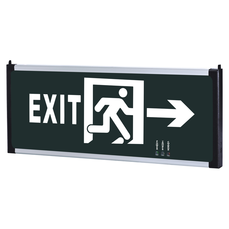 Double Sided Turkey Romania Russia Ukraine sell Green Led Emergency Exit Sign